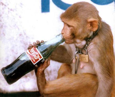 coke.jpg