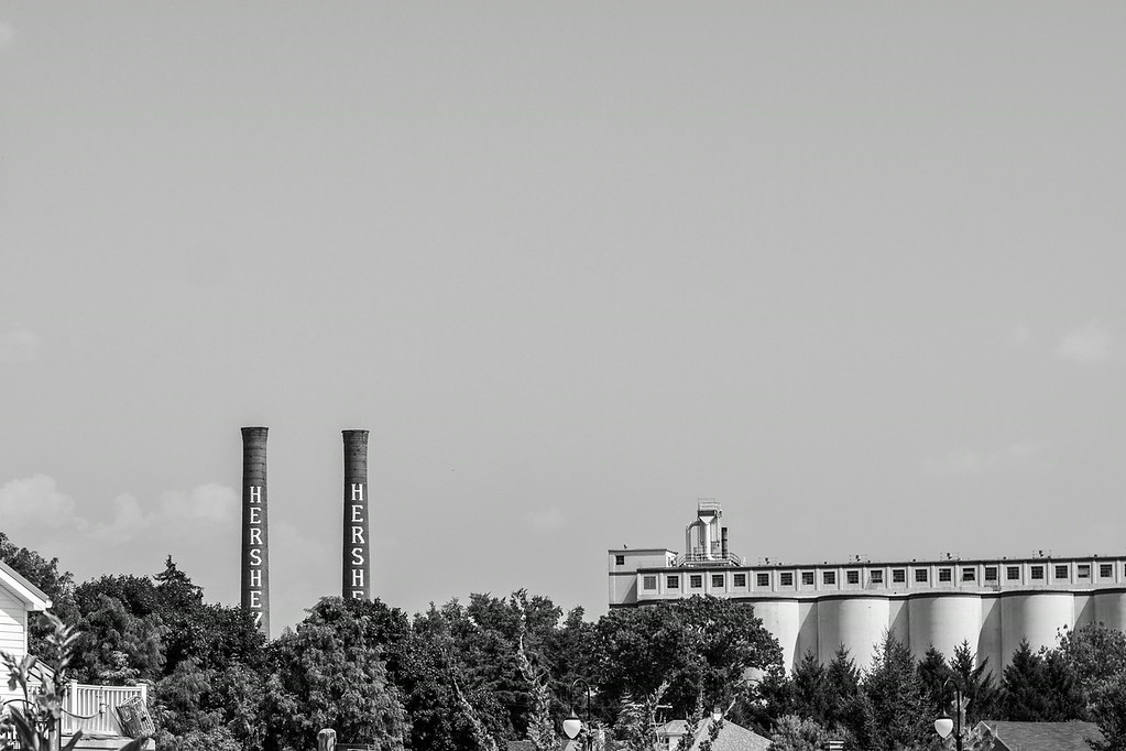 DSC00498-XL.jpg