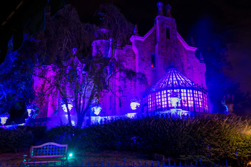 DSC_1166-L.jpg