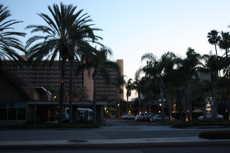 IMG0352-L.jpg