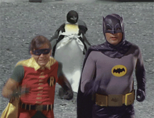 GIF robin pinguin animals - animated GIF on GIFER - by Burira