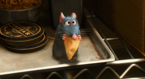 tumblr_lsq0kmOdGC1qgvur0o1_500.gif