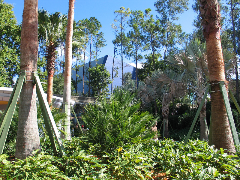 IMG8988-L.jpg