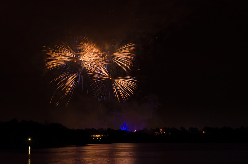 DSC2887-L.jpg