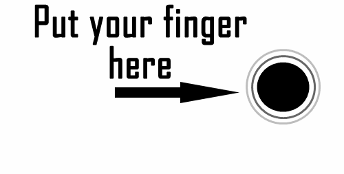 giphy.gif