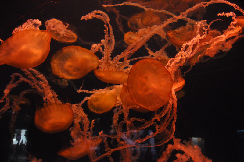 600369430_NMXy9-L.jpg