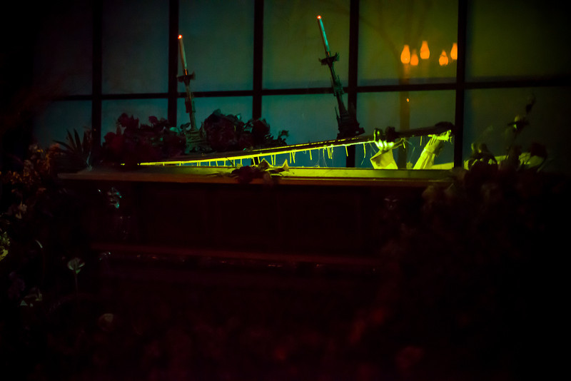 DSC_1387-L.jpg