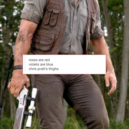 tumblr_nqefhtiBI61uukb4ko1_500.jpg
