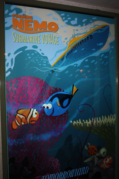 IMG9668-L.jpg