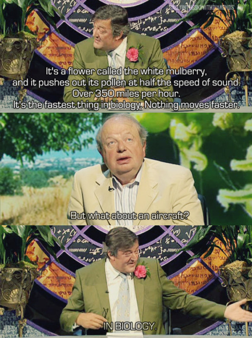 tumblr_lg47kwCYzi1qa601io1_500.jpg