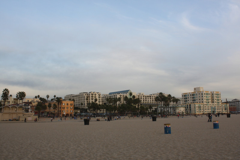 IMG_1106-L.jpg
