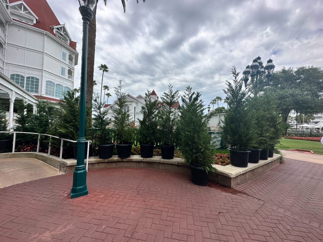 grand floridian gasparilla construction 0475