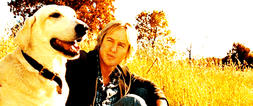 tumblr_lh5yt2v3Zi1qal115.gif