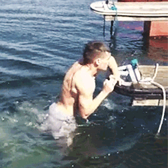 tumblr_mmz51p8ba71r0apqfo2_250.gif