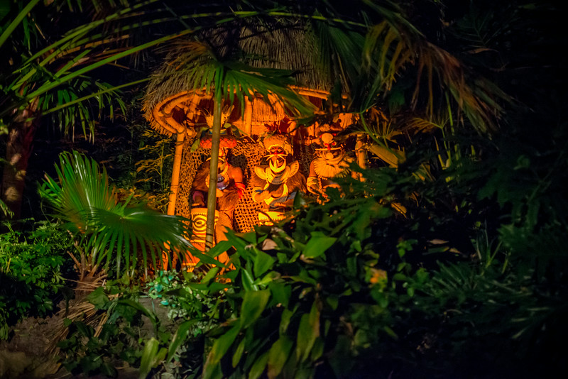 DSC_6135-L.jpg