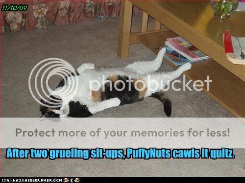 funny-pictures-cat-does-sit-ups.jpg