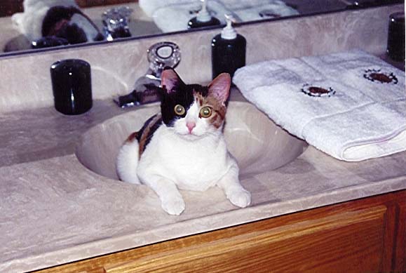 penny1.jpg