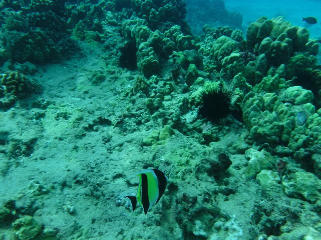 DSCF0404.jpg