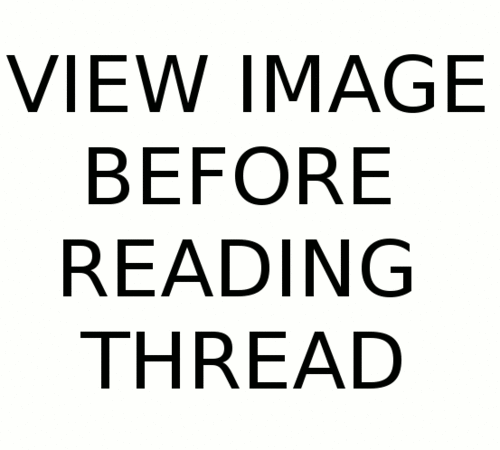 tumblr_labqpeUGSb1qdcl32o1_500.gif