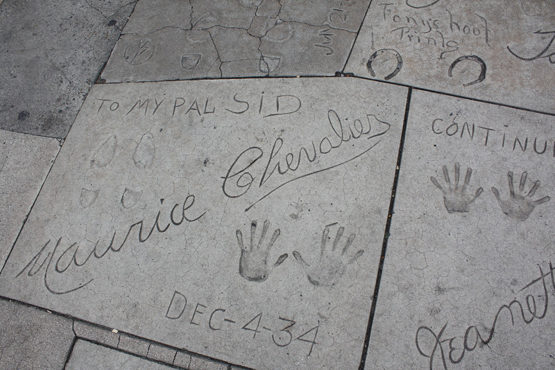 IMG0896-L.jpg