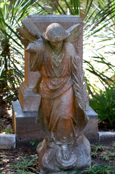 angel_s1.jpg