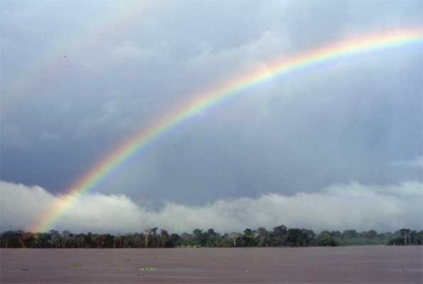 rainbow.jpg