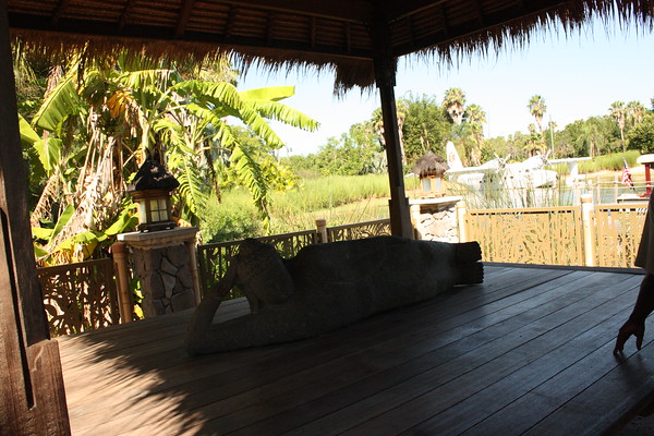 600538447_No8Z5-M.jpg