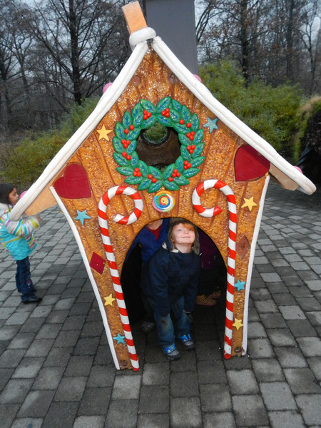 DSCN9615-L.jpg