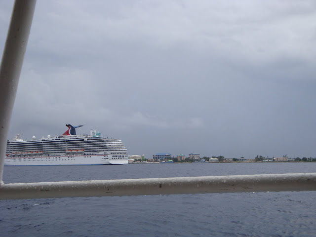 DSC00418.jpg