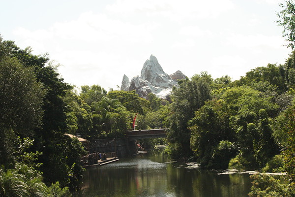600713696_ZCs24-M.jpg