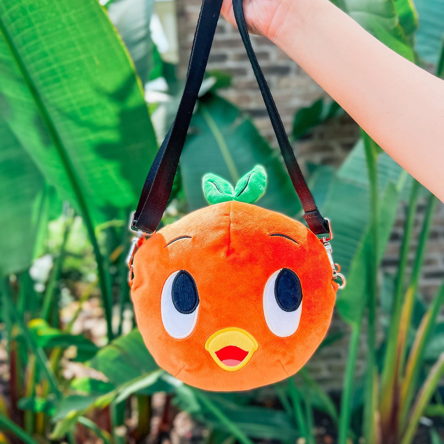 Orange-Bird-2.jpg