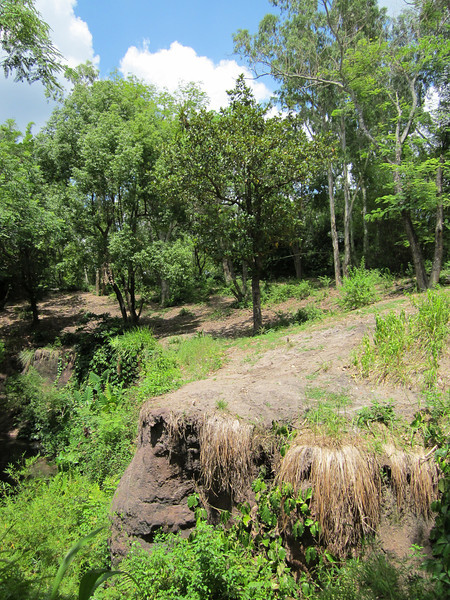 IMG0316-L.jpg
