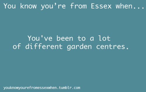 tumblr_lm11zgMPAu1qkht8fo1_500.png
