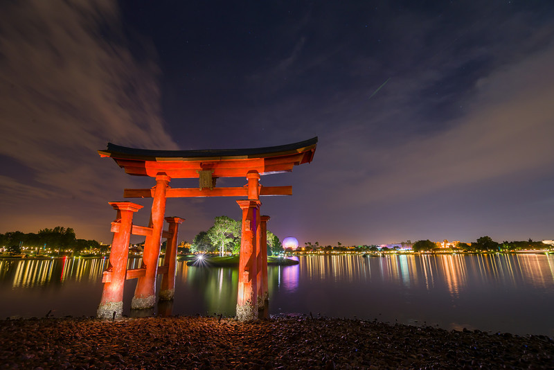 DSC_0596-L.jpg