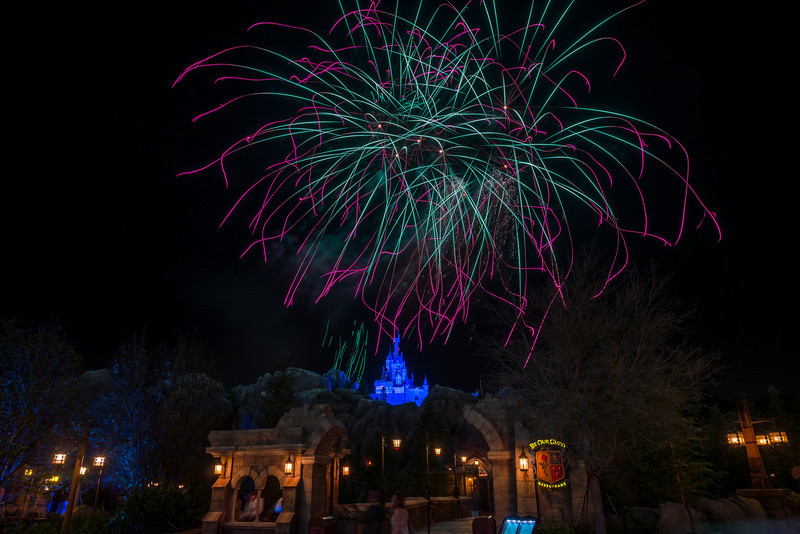DSC_7455-L.jpg