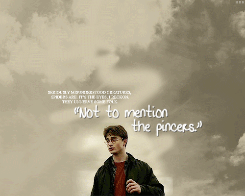 tumblr_lcib5zDAYK1qarxvjo1_500.gif