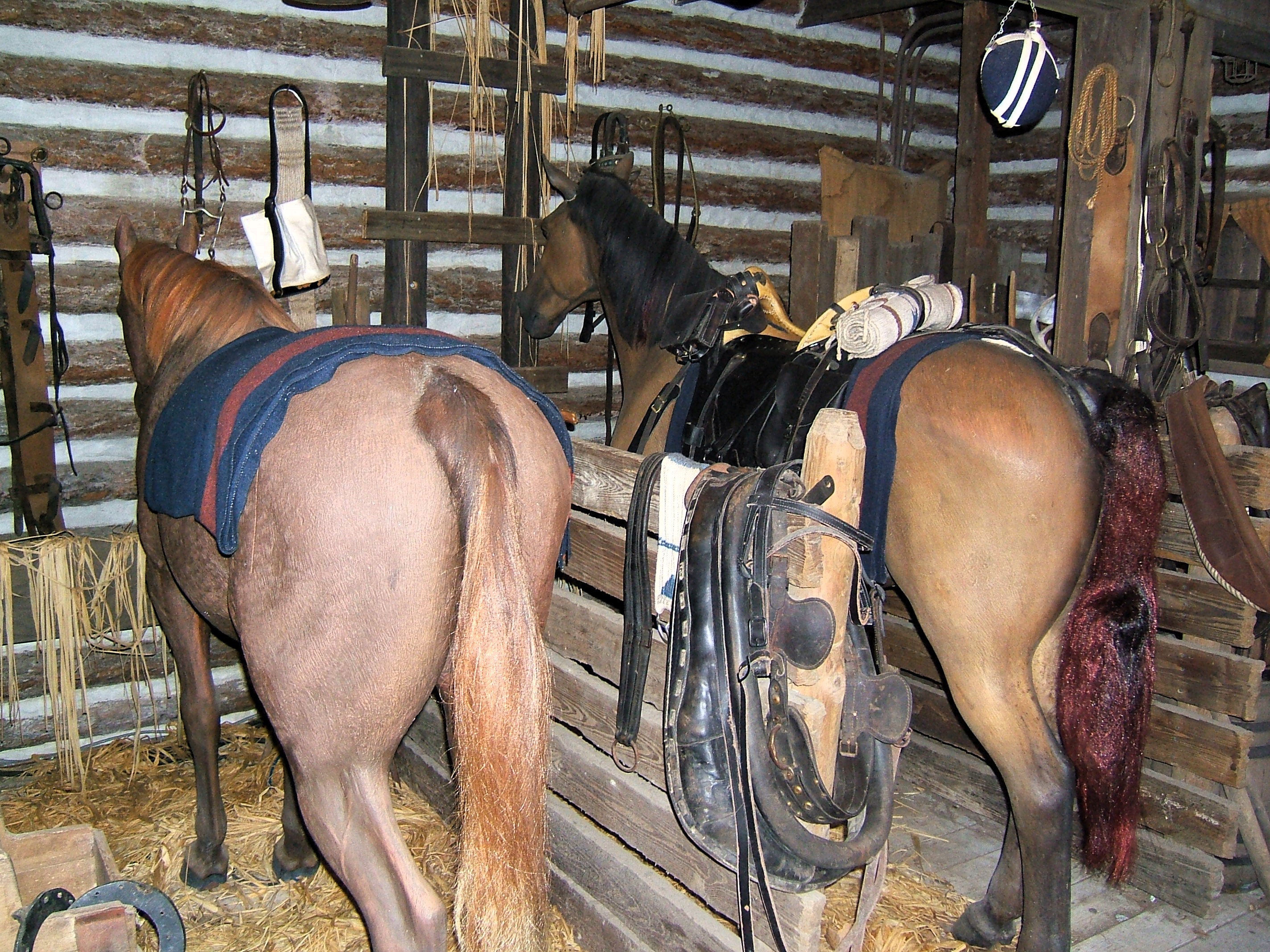 DSCF3894.jpg
