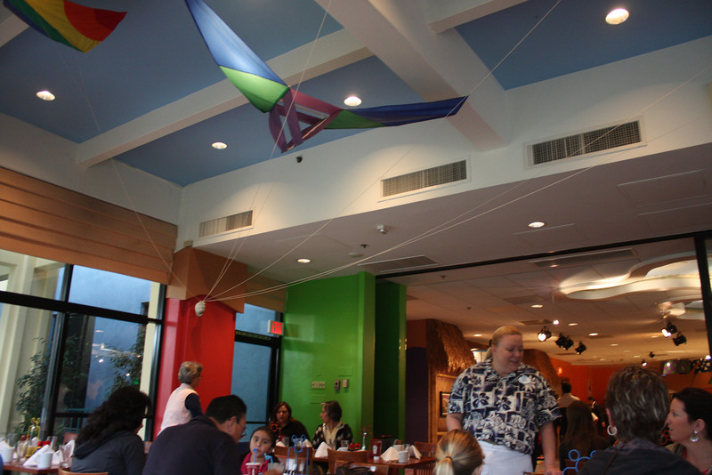 IMG0695-L.jpg