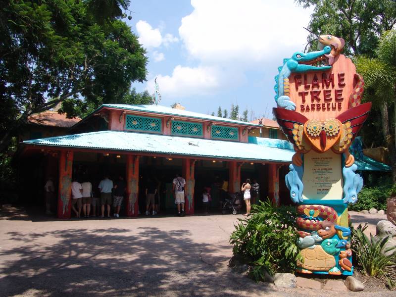 flame-tree1.JPG