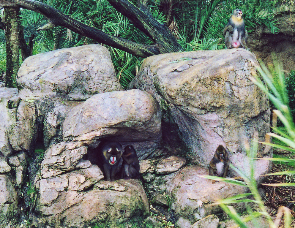 AK-Pang-Trail-11-XL.jpg