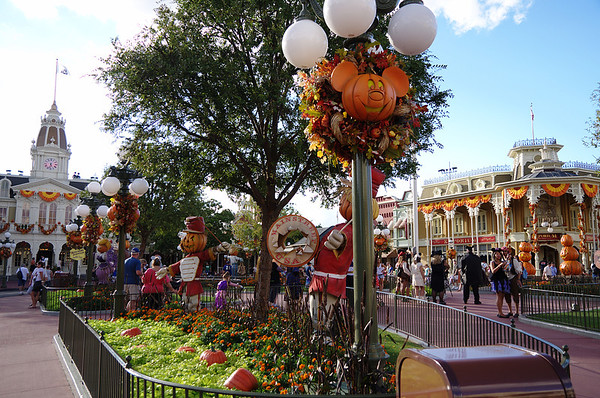 DSC6191-M.jpg