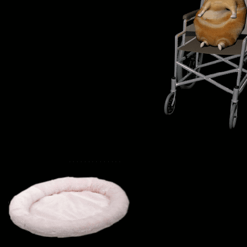 tumblr_m8it2q2Pw61r1znrj.gif