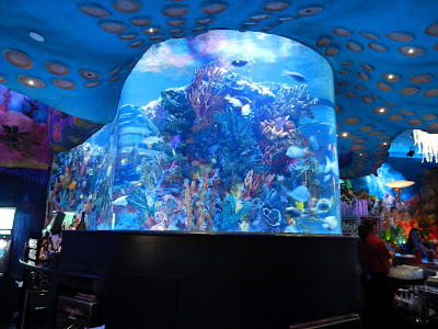 DSCN0820.JPG