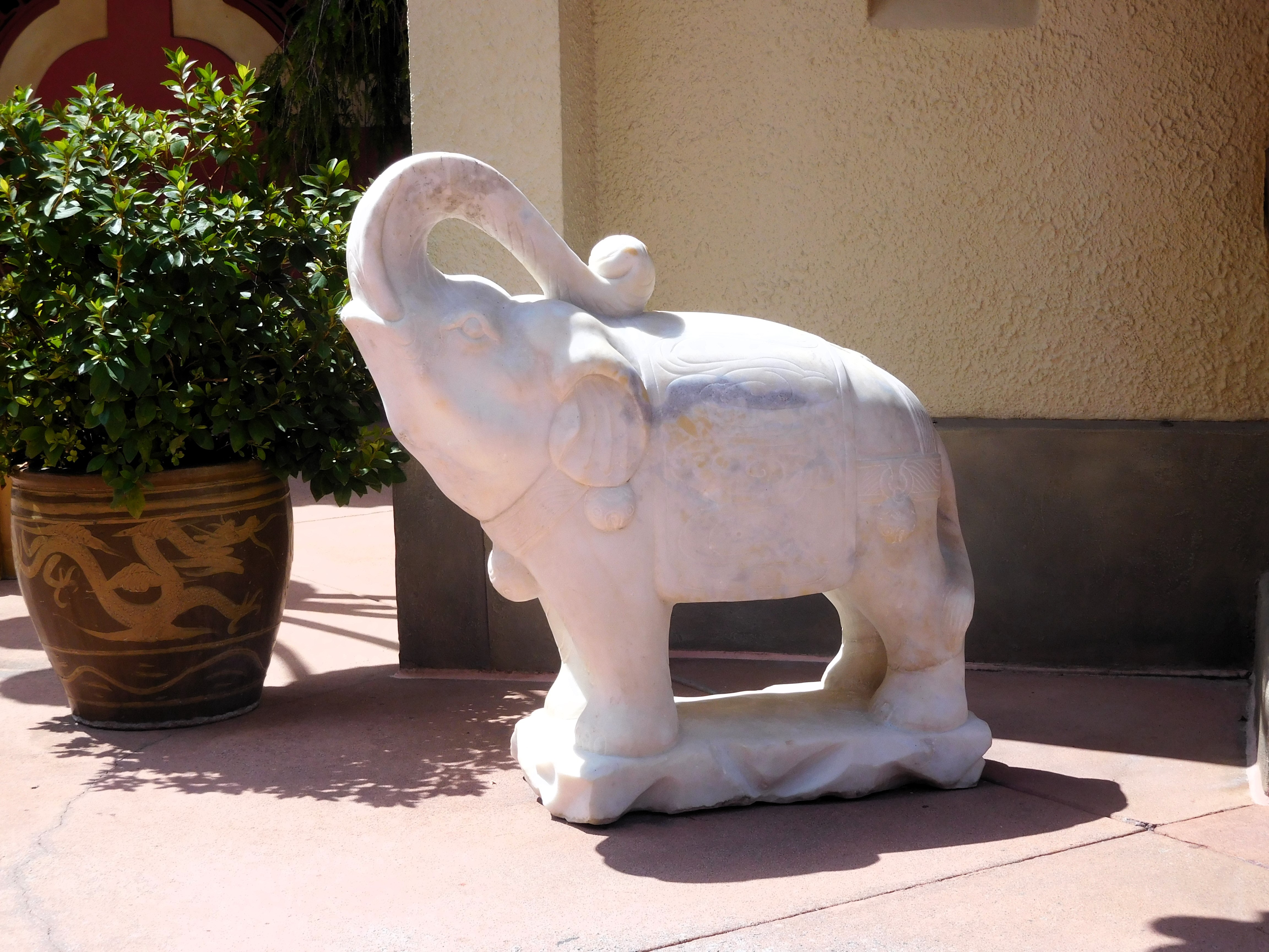 DSCN1338.jpg