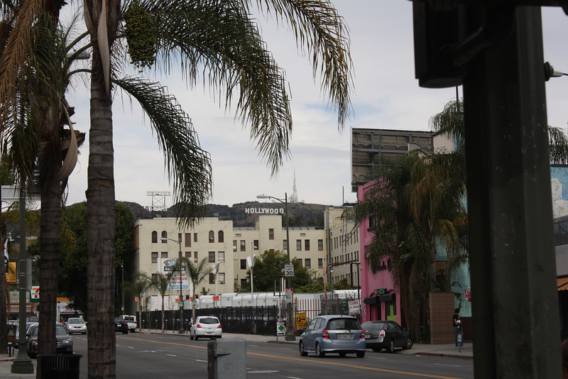 IMG0841-L.jpg