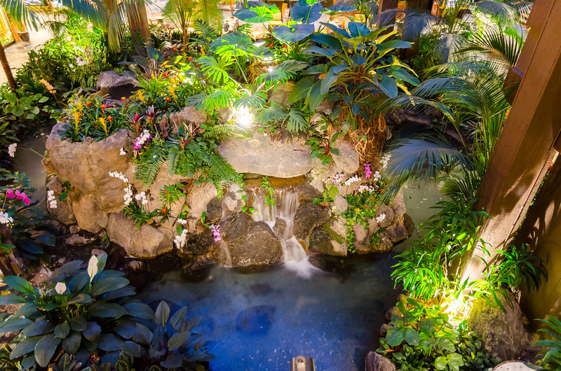 DSC2799-L.jpg