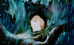 tumblr_nmg6fmRE0e1sp65azo5_250.gif