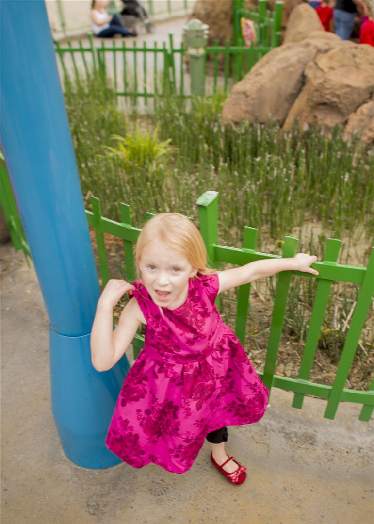 DSC_6632%20(Large).jpg