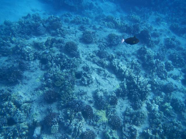 DSCN0808.jpg