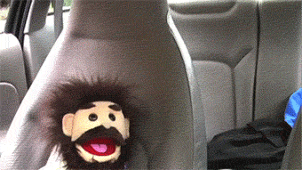 tumblr_lh8vkaPQ821qe1bcg.gif